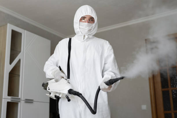 Best Emergency Mold Remediation  in Pine Level, NC